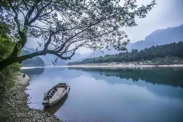 银河中动物逃生
